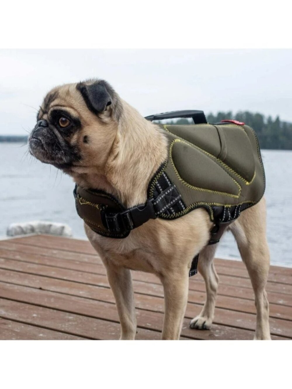 New With Tags Silver Paw Neoprene Dog Life Jacket Vest Green Size Extra Large